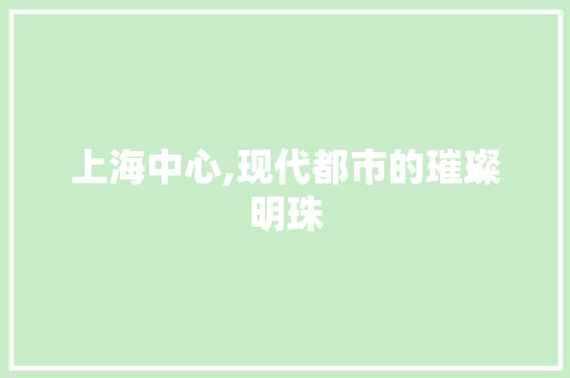 上海中心,现代都市的璀璨明珠