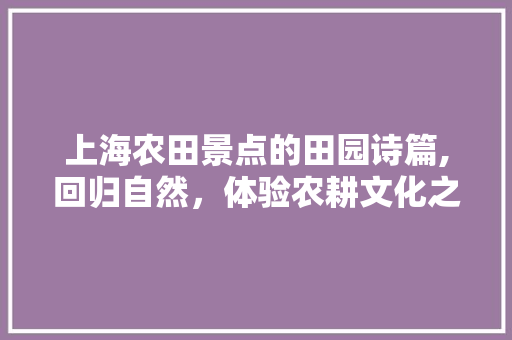 上海农田景点的田园诗篇,回归自然，体验农耕文化之美