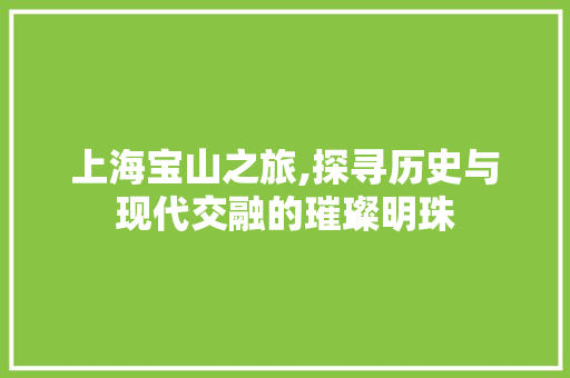 上海宝山之旅,探寻历史与现代交融的璀璨明珠