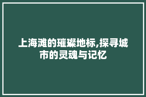 上海滩的璀璨地标,探寻城市的灵魂与记忆