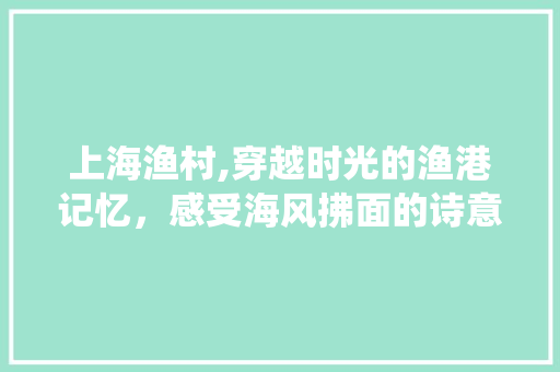 上海渔村,穿越时光的渔港记忆，感受海风拂面的诗意栖息