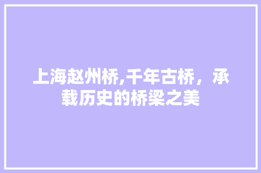 上海赵州桥,千年古桥，承载历史的桥梁之美