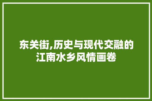 东关街,历史与现代交融的江南水乡风情画卷