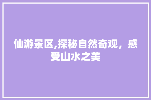 仙游景区,探秘自然奇观，感受山水之美