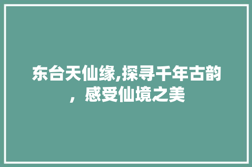 东台天仙缘,探寻千年古韵，感受仙境之美