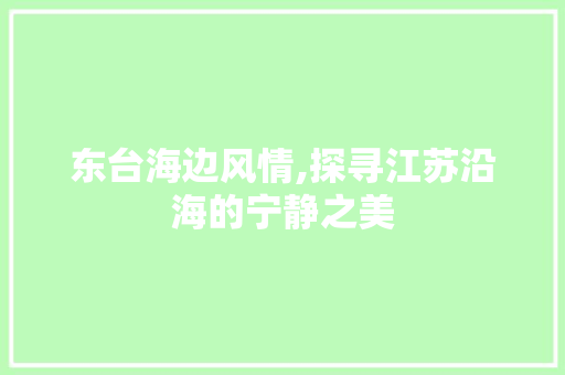 东台海边风情,探寻江苏沿海的宁静之美