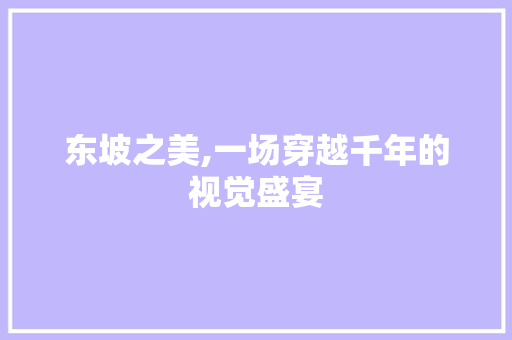 东坡之美,一场穿越千年的视觉盛宴