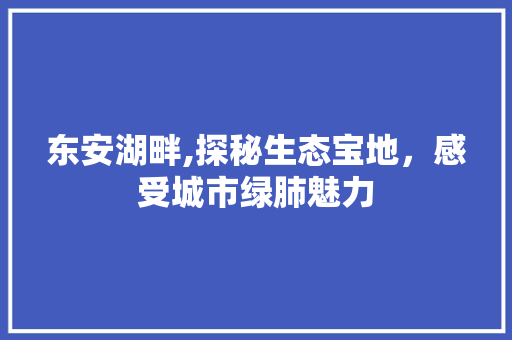 东安湖畔,探秘生态宝地，感受城市绿肺魅力