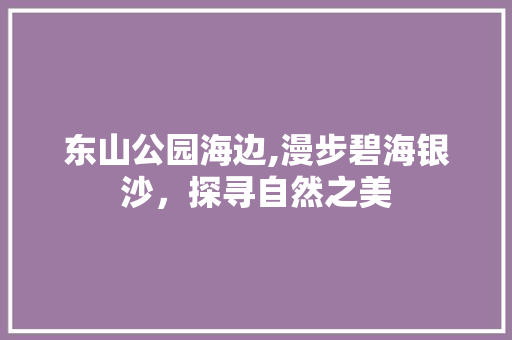 东山公园海边,漫步碧海银沙，探寻自然之美