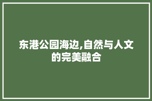 东港公园海边,自然与人文的完美融合