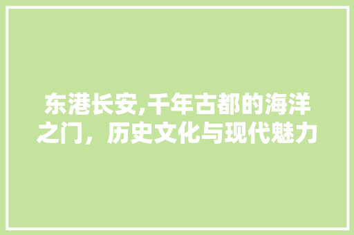 东港长安,千年古都的海洋之门，历史文化与现代魅力的完美融合