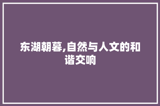 东湖朝暮,自然与人文的和谐交响