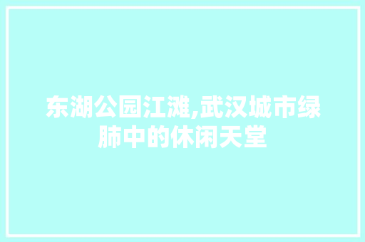 东湖公园江滩,武汉城市绿肺中的休闲天堂