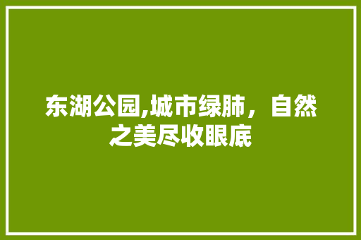 东湖公园,城市绿肺，自然之美尽收眼底