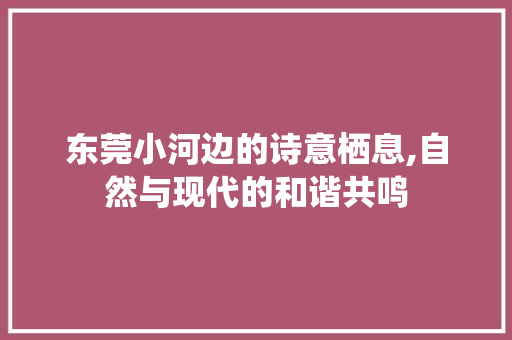 东莞小河边的诗意栖息,自然与现代的和谐共鸣