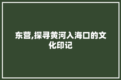 东营,探寻黄河入海口的文化印记