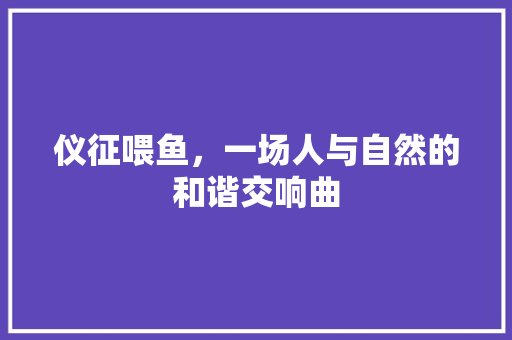 仪征喂鱼，一场人与自然的和谐交响曲