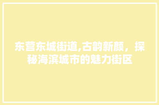 东营东城街道,古韵新颜，探秘海滨城市的魅力街区