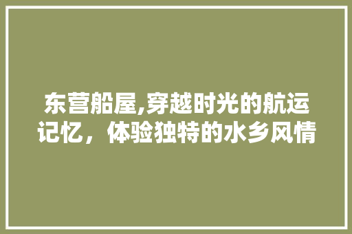 东营船屋,穿越时光的航运记忆，体验独特的水乡风情