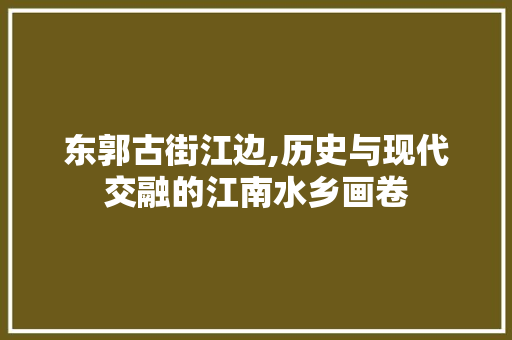 东郭古街江边,历史与现代交融的江南水乡画卷