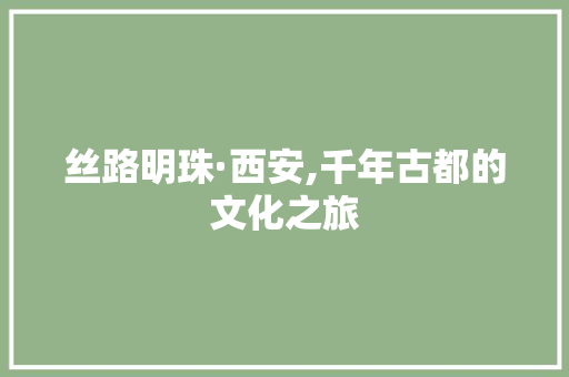 丝路明珠·西安,千年古都的文化之旅