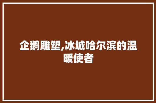 企鹅雕塑,冰城哈尔滨的温暖使者