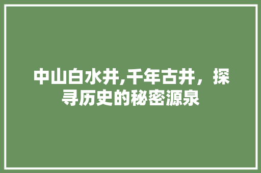 中山白水井,千年古井，探寻历史的秘密源泉