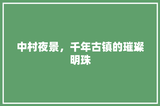 中村夜景，千年古镇的璀璨明珠