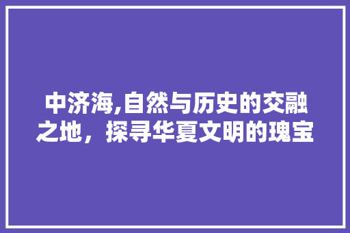 中济海,自然与历史的交融之地，探寻华夏文明的瑰宝