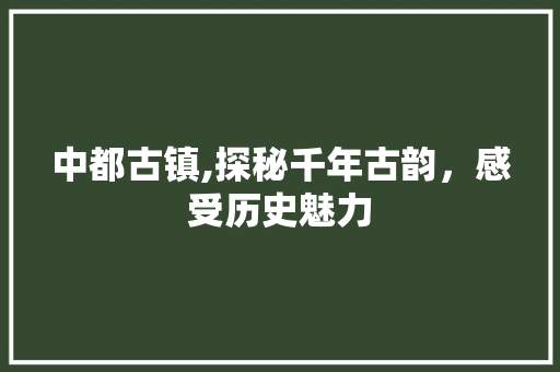 中都古镇,探秘千年古韵，感受历史魅力