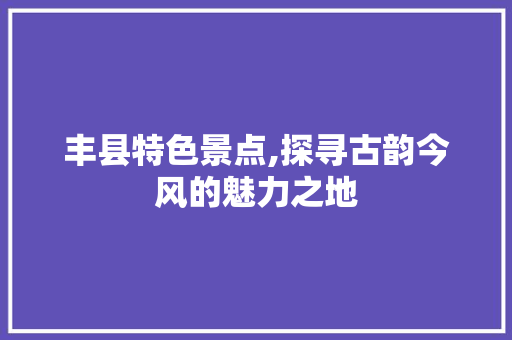 丰县特色景点,探寻古韵今风的魅力之地