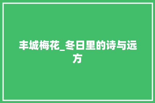 丰城梅花_冬日里的诗与远方