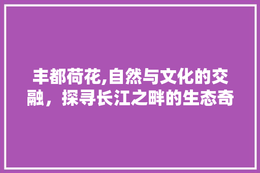 丰都荷花,自然与文化的交融，探寻长江之畔的生态奇迹