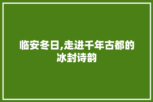 临安冬日,走进千年古都的冰封诗韵