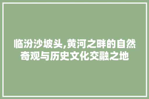 临汾沙坡头,黄河之畔的自然奇观与历史文化交融之地  第1张