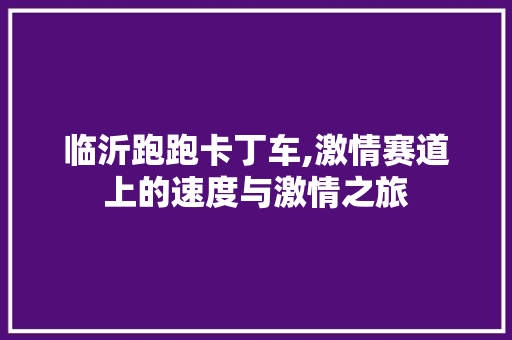 临沂跑跑卡丁车,激情赛道上的速度与激情之旅