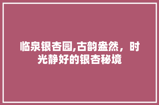 临泉银杏园,古韵盎然，时光静好的银杏秘境