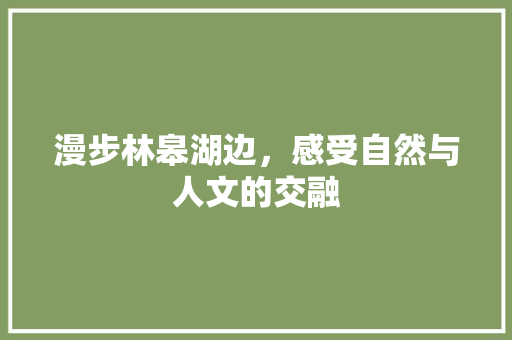 漫步林皋湖边，感受自然与人文的交融