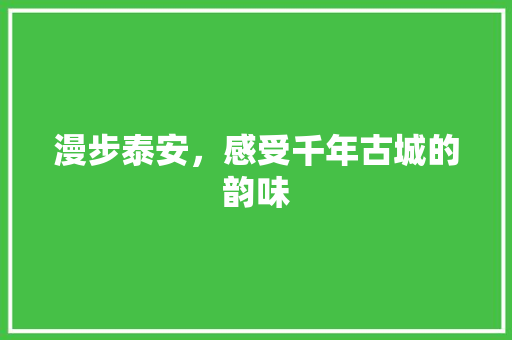 漫步泰安，感受千年古城的韵味