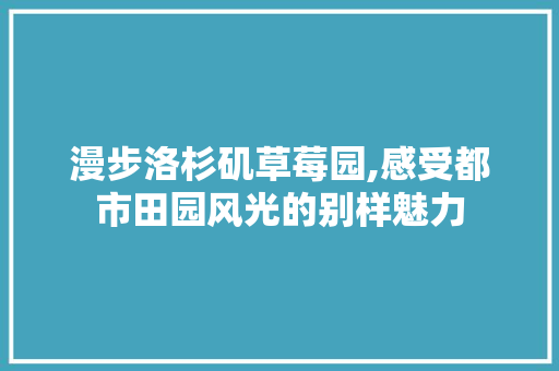 漫步洛杉矶草莓园,感受都市田园风光的别样魅力  第1张