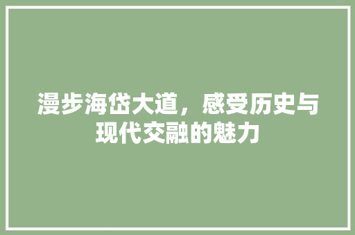 漫步海岱大道，感受历史与现代交融的魅力