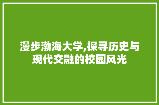 漫步渤海大学,探寻历史与现代交融的校园风光