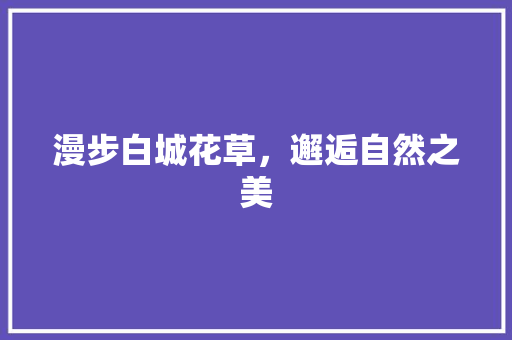 漫步白城花草，邂逅自然之美