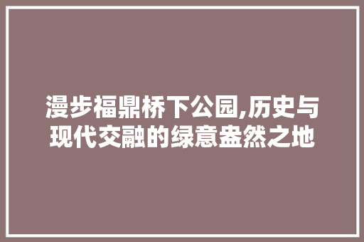 漫步福鼎桥下公园,历史与现代交融的绿意盎然之地  第1张