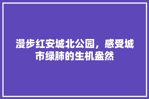 漫步红安城北公园，感受城市绿肺的生机盎然