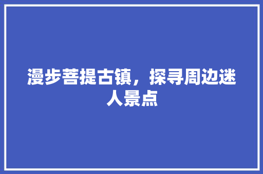 漫步菩提古镇，探寻周边迷人景点