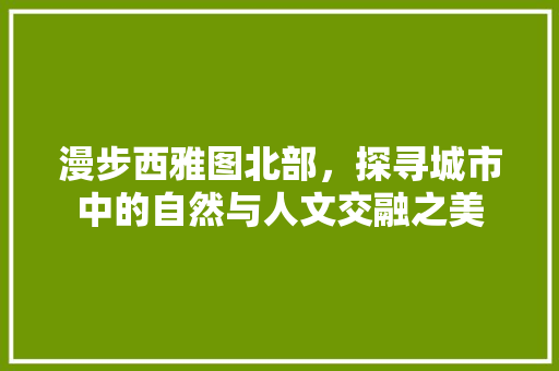 漫步西雅图北部，探寻城市中的自然与人文交融之美