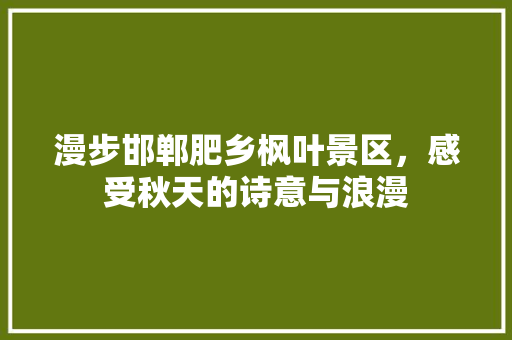 漫步邯郸肥乡枫叶景区，感受秋天的诗意与浪漫