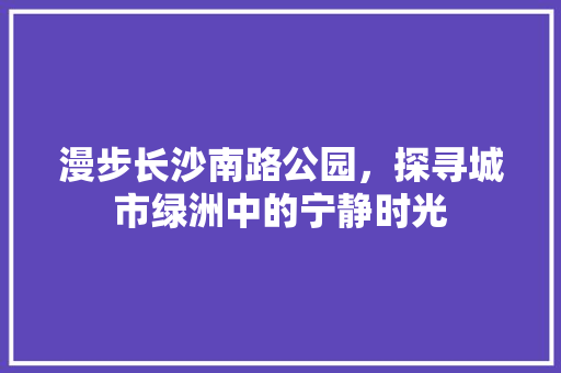 漫步长沙南路公园，探寻城市绿洲中的宁静时光