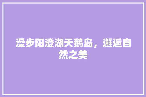 漫步阳澄湖天鹅岛，邂逅自然之美